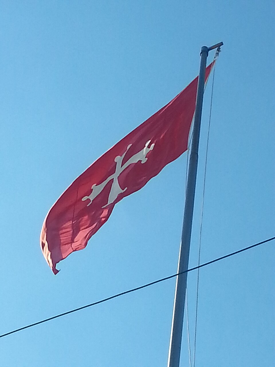 The Flag of Pisa