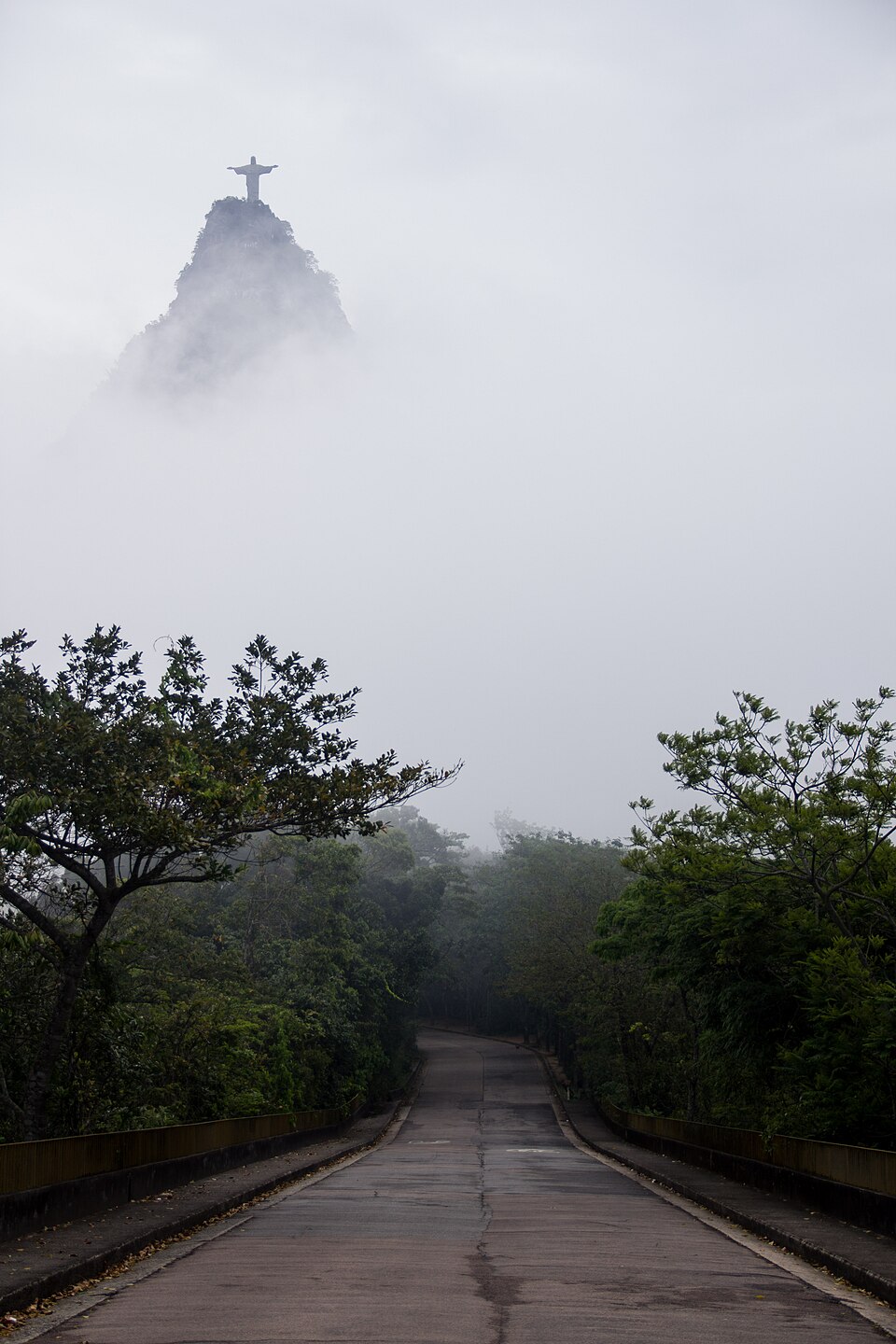 La Vetta del Corcovado