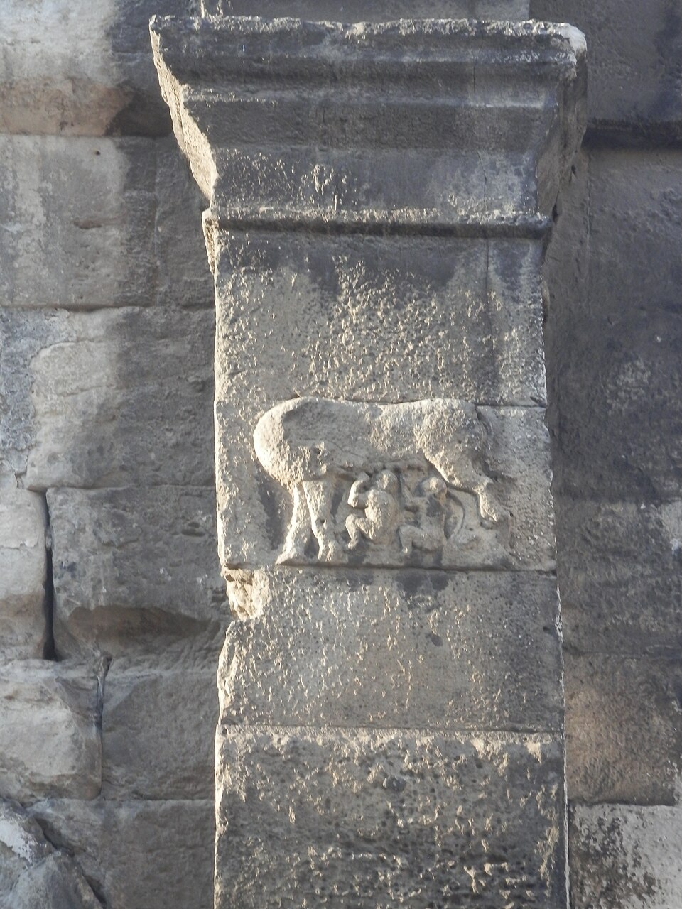 The Roman She-Wolf