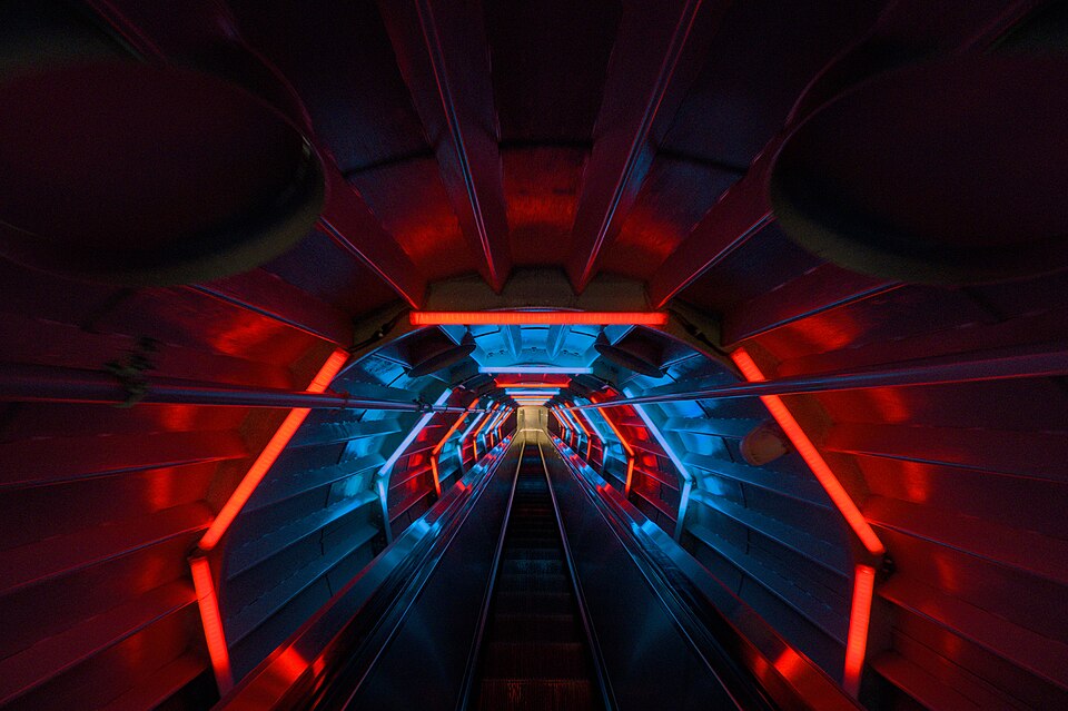 The Light Experience