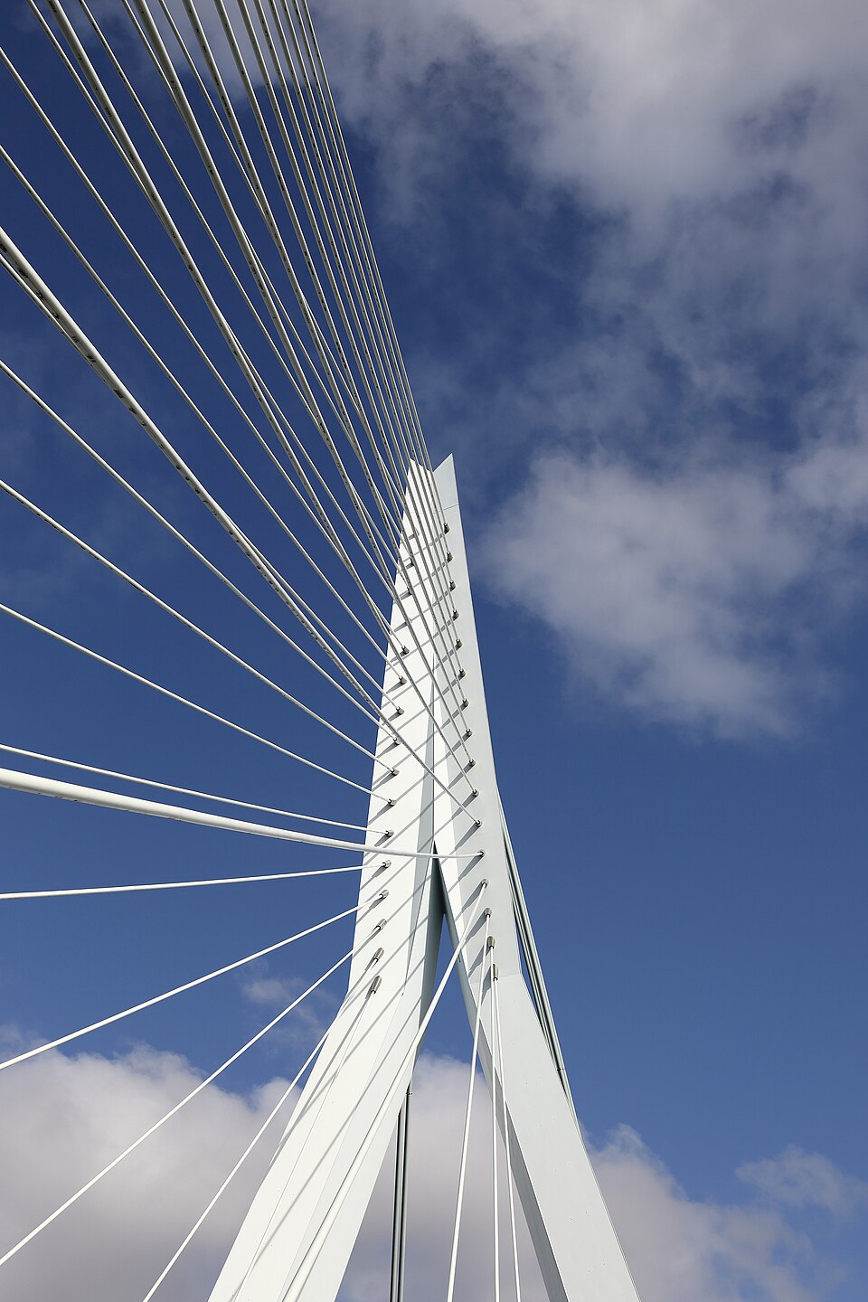 La teinte secrète du pylône — Erasmusbrug