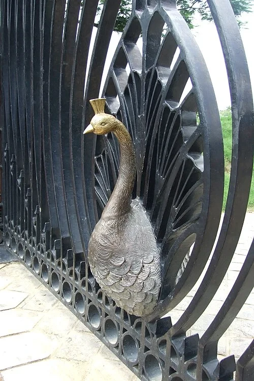 The Peacock Detail