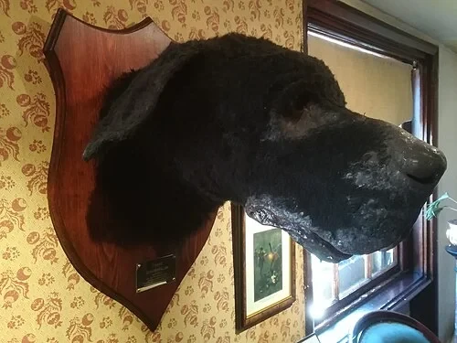 Le Chien des Baskerville — Sherlock Holmes Museum