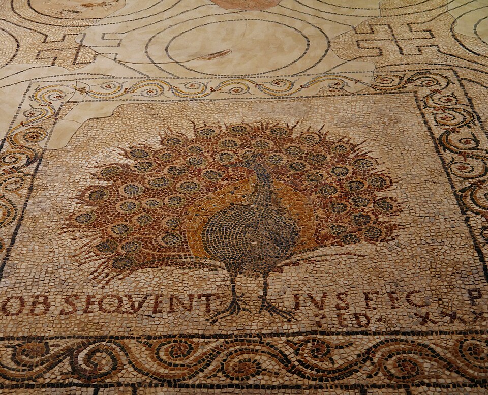 The Peacock Mosaic — Cattedrale di Santa Maria del Fiore audio guide stop