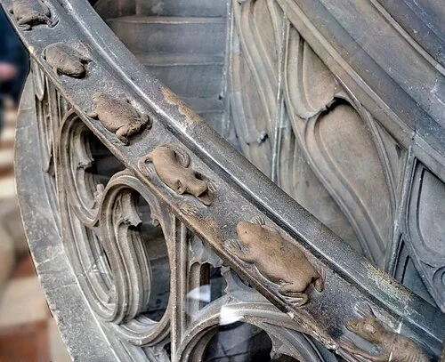 Lézards et crapauds — Stephansdom