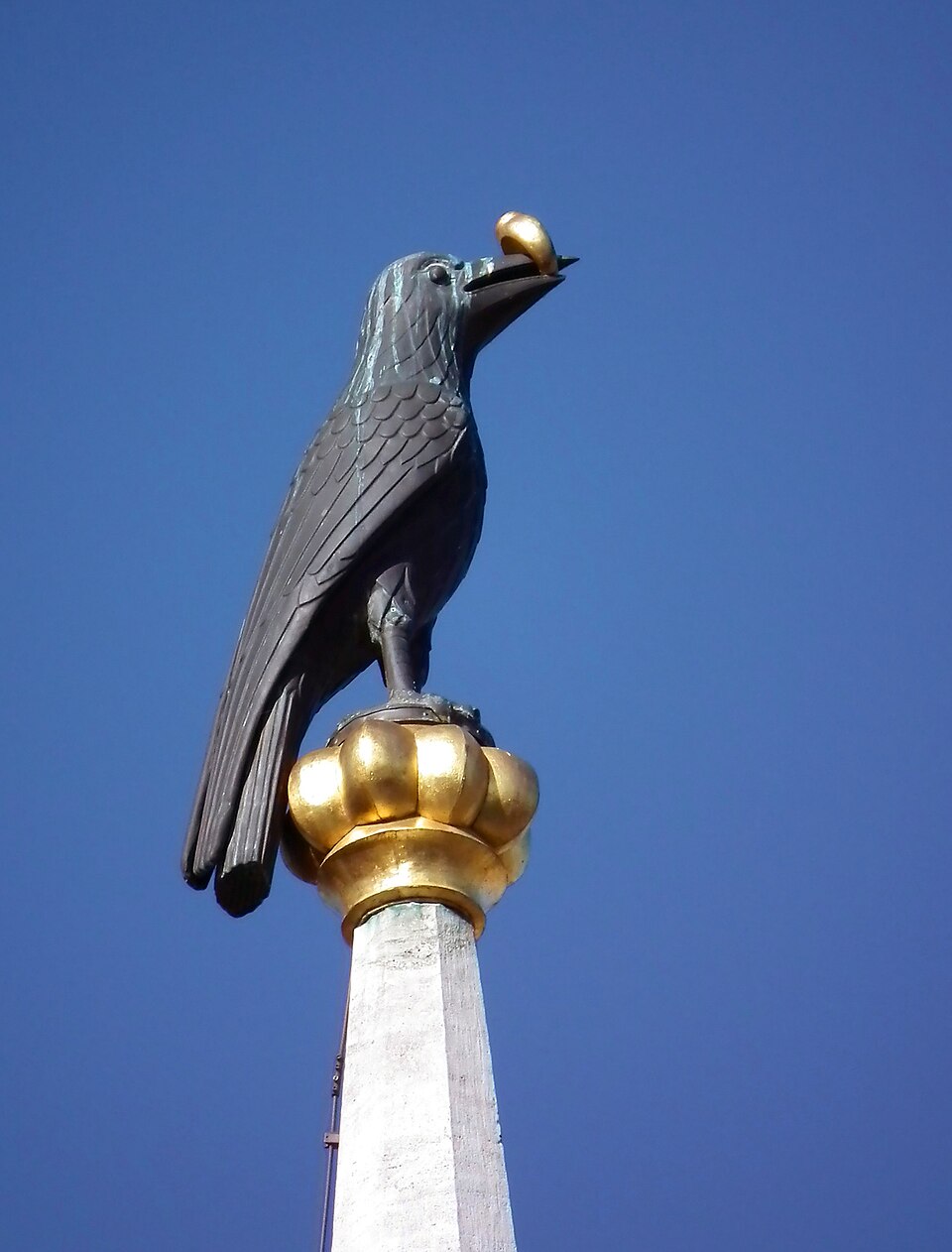 The Raven of Corvinus