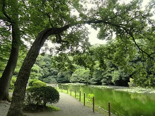 L'étang du jardin intérieur — Meiji Jingū