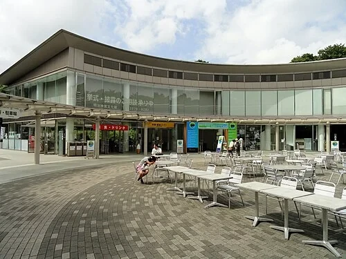 Forest Terrace Cafe