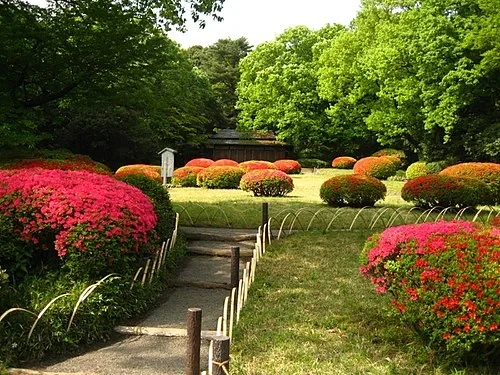 Jardin intérieur du sanctuaire Meiji — Meiji Jingū