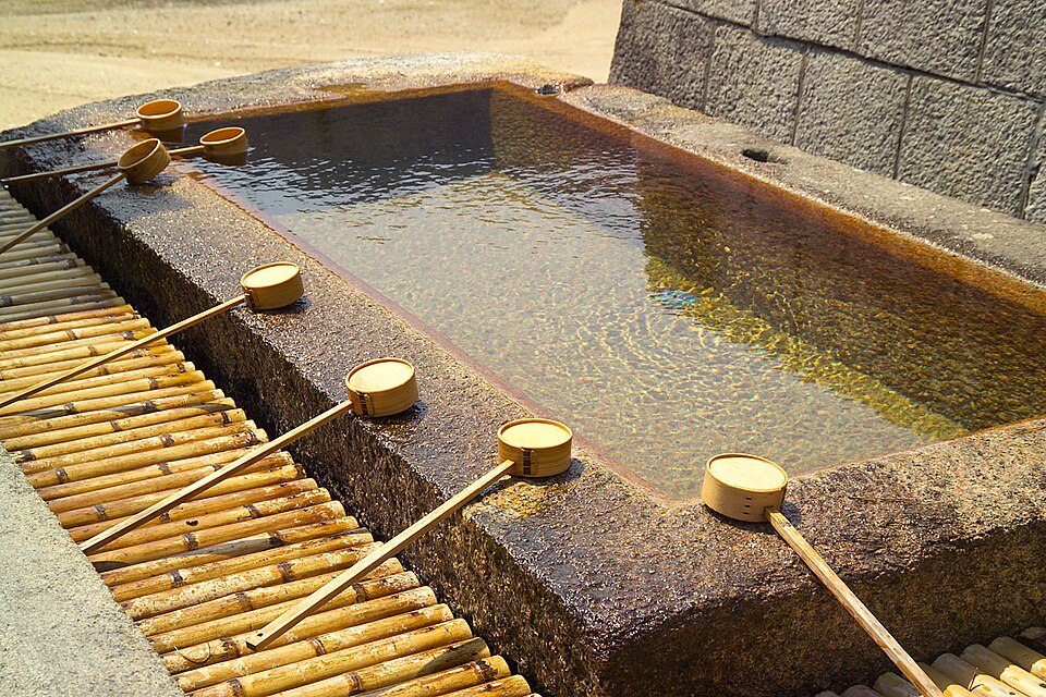 Bassin de Purification