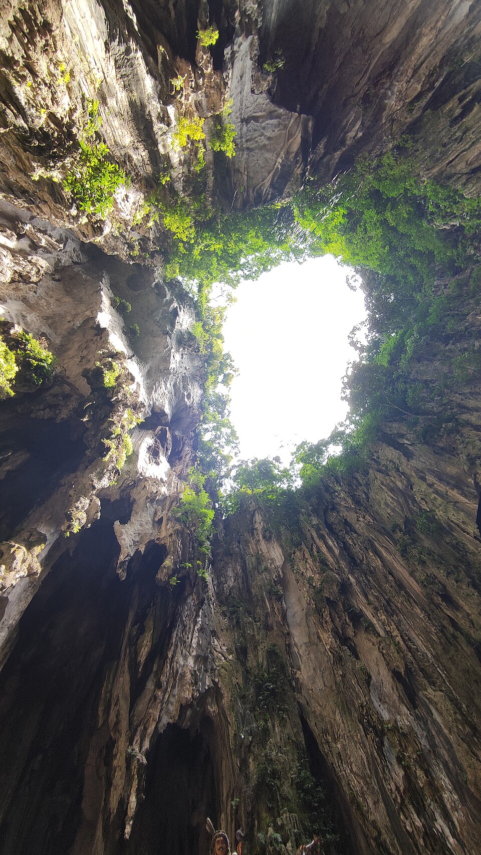 Light of the Cave