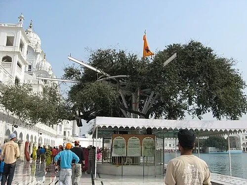 L'arbre de guérison — Harmandir Sahib