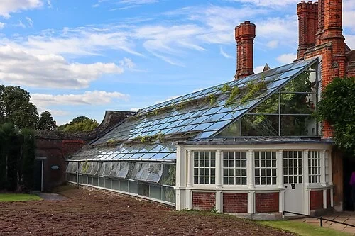 The Great Vine Glasshouse