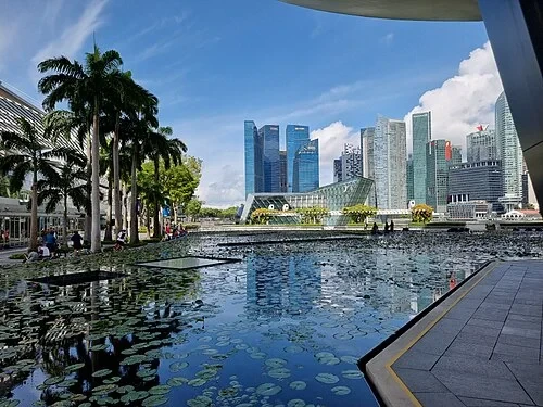 Экологичный пруд с лилиями — Marina Bay Sands