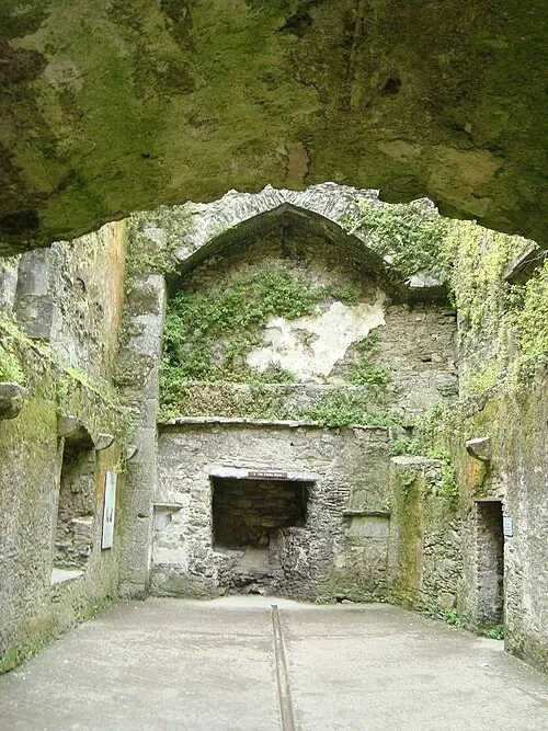 La Grande Salle — Blarney Castle