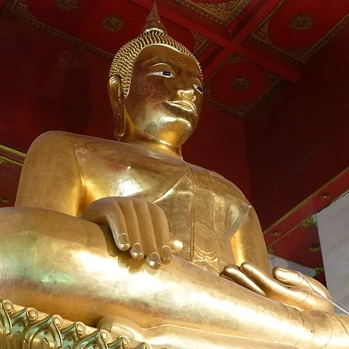 The Buddha's Serene Gaze