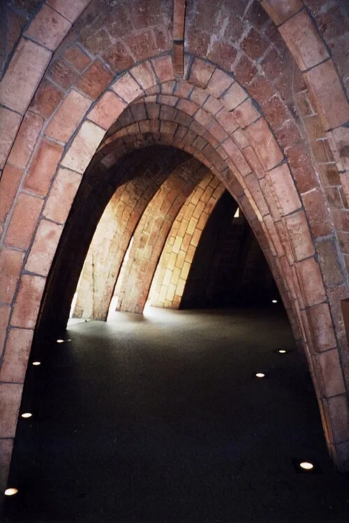 La cage thoracique de la baleine — Casa Milà
