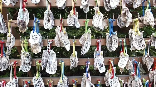 Votive Oyster Shells — Hase-dera Temple audio guide stop