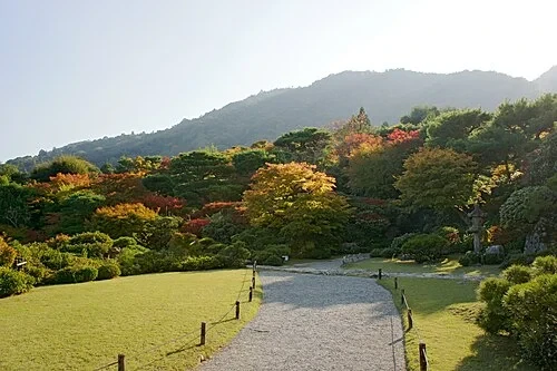 The Borrowed Scenery