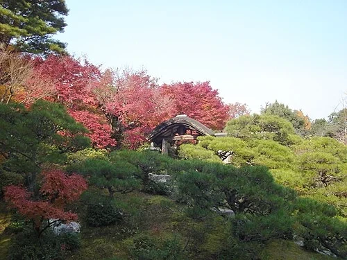 The Middle Gate