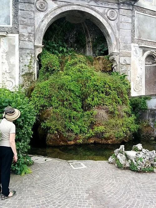 Nymphée de la Pluie