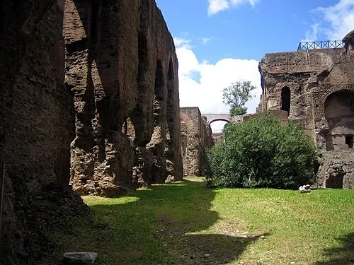 Baths of Septimius Severus