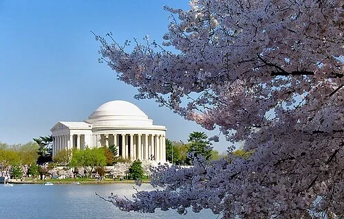 La vista dal Tidal Basin