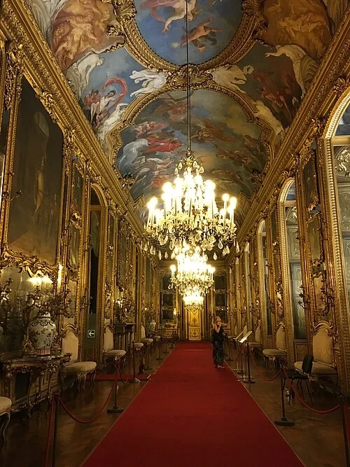 Daniel's Gallery — Palazzo Reale di Torino audio guide stop