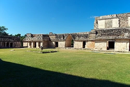 鸟之庭院
