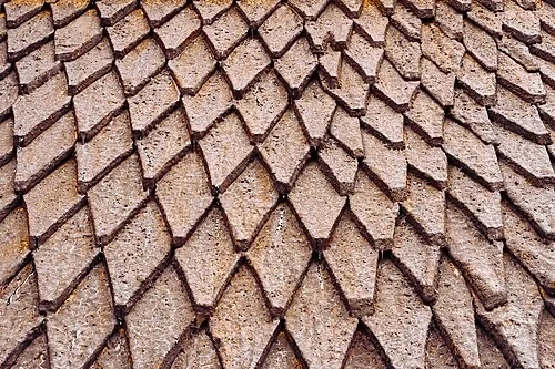 Le scaglie di drago