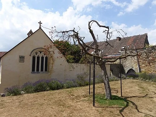 L'épine de Glastonbury — Glastonbury Abbey
