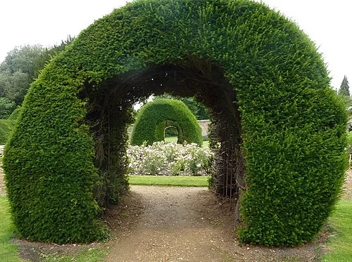 Les arches d'ifs — Highclere Castle