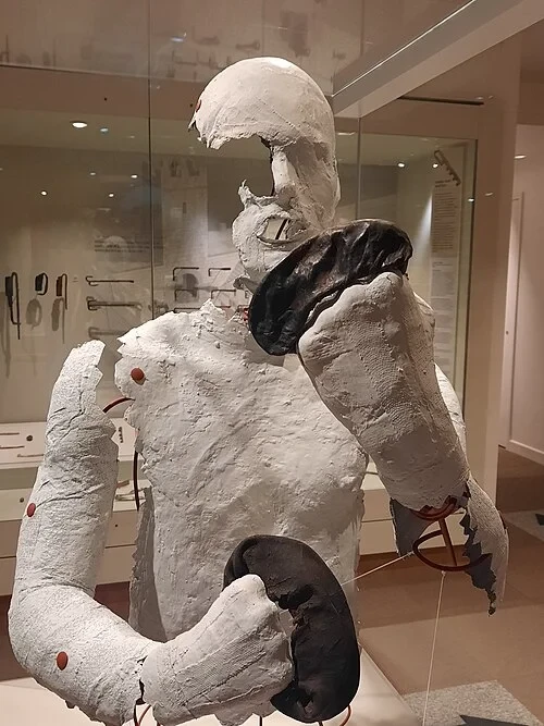 The Roman Boxing Gloves
