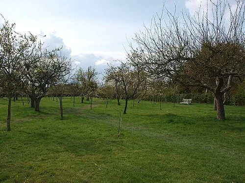 The Heritage Orchard