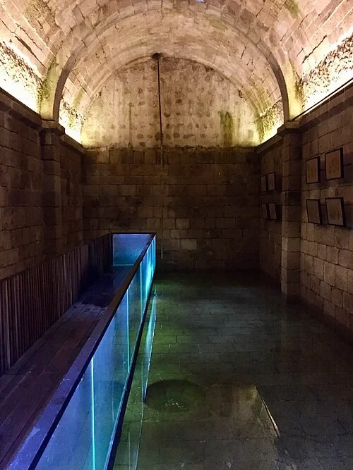 Le système d'approvisionnement en eau — Castelo dos Mouros