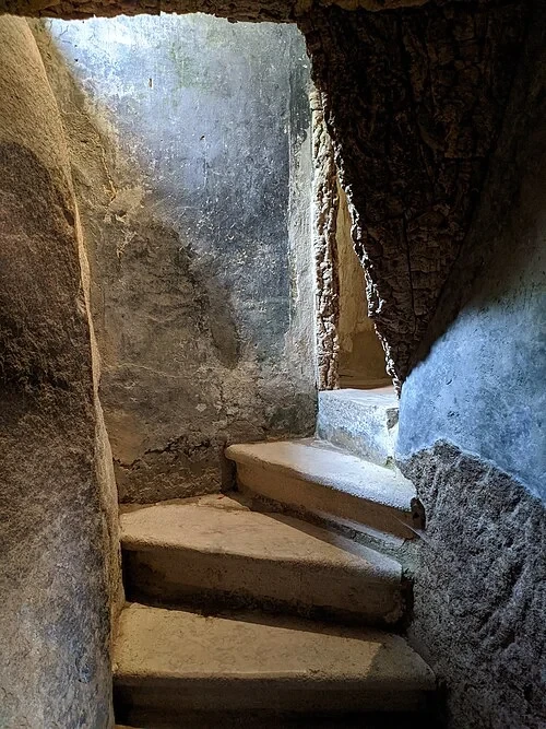 Pas à travers l'écorce — Convento dos Capuchos