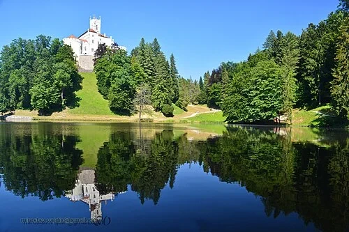 Castle and Forest Landscape