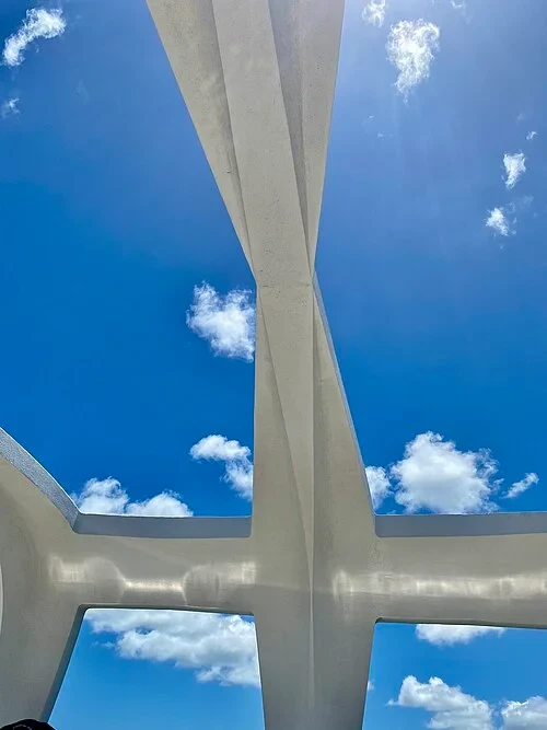 Open Ceiling Windows
