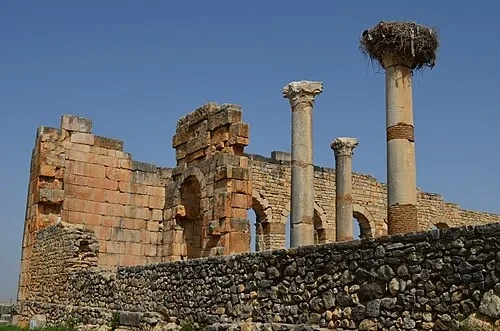 Аисты Волюбилиса — Volubilis