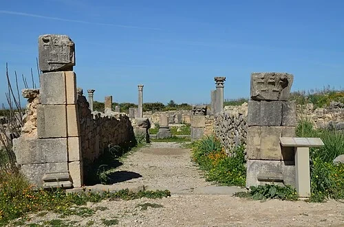 Вход в Дом Эфеба — Volubilis
