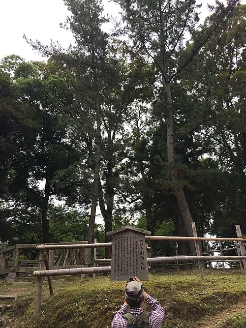 Yogo Gate