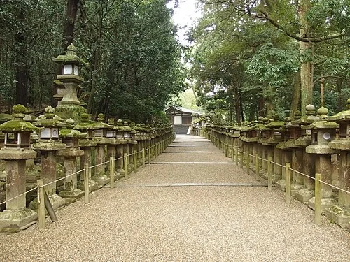 Chemin des lanternes moussues — Kasuga-taisha