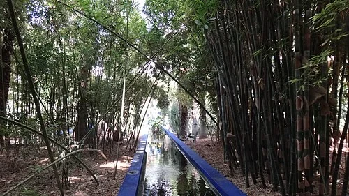 Le canal d'irrigation — Jardin Majorelle