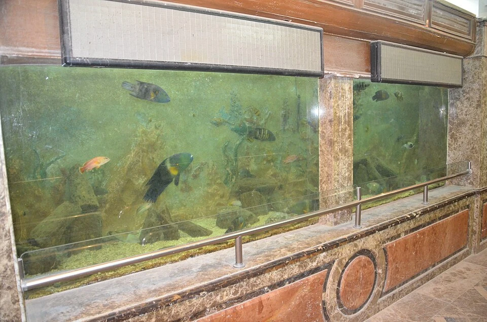 The Alexandria Aquarium Tanks — Citadel of Qaitbay audio guide stop