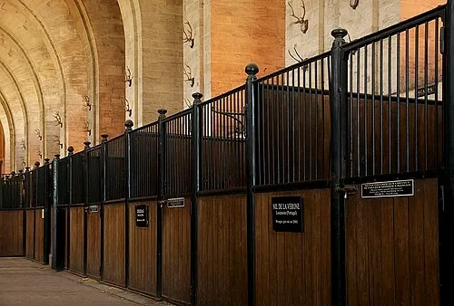 The Interior Stalls — Château de Chantilly audio guide stop